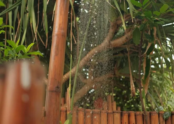 Bubble 3 - Luxury Private Pool Honeymoon Dome Отель 2*